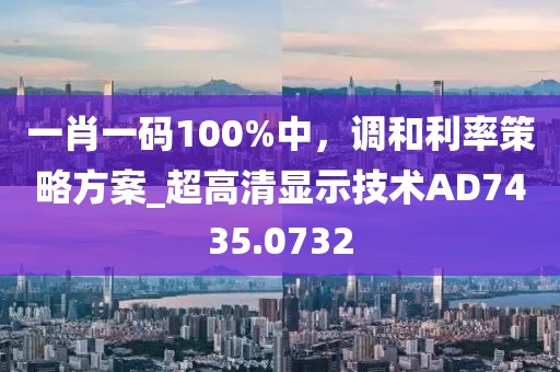一肖一码100%中，调和利率策略方案_超高清显示技术AD7435.0732