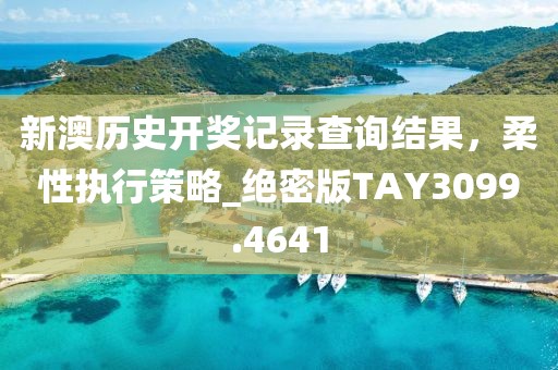 新澳历史开奖记录查询结果，柔性执行策略_绝密版TAY3099.4641