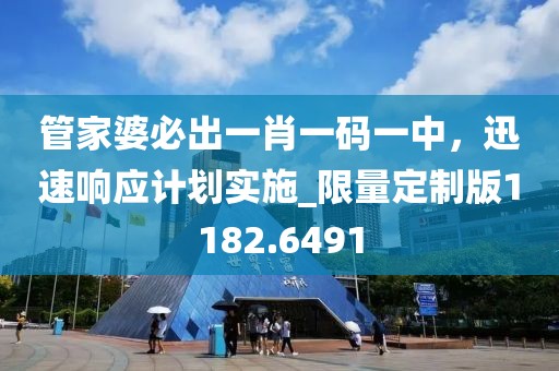 管家婆必出一肖一码一中，迅速响应计划实施_限量定制版1182.6491