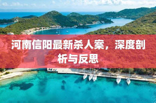 河南信阳最新杀人案，深度剖析与反思