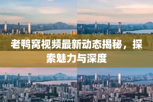 老鸭窝视频最新动态揭秘，探索魅力与深度