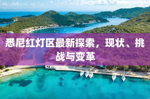 悉尼红灯区最新探索，现状、挑战与变革