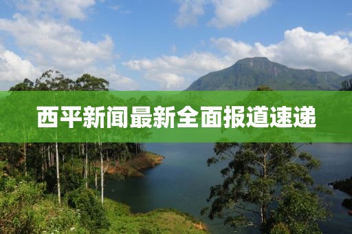 西平新闻最新全面报道速递