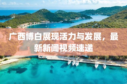 广西博白展现活力与发展，最新新闻视频速递