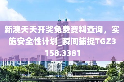 新澳天天开奖免费资料查询，实施安全性计划_瞬间捕捉TGZ3158.3381