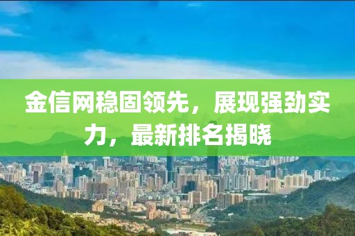 金信网稳固领先，展现强劲实力，最新排名揭晓