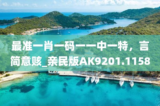 最准一肖一码一一中一特，言简意赅_亲民版AK9201.1158