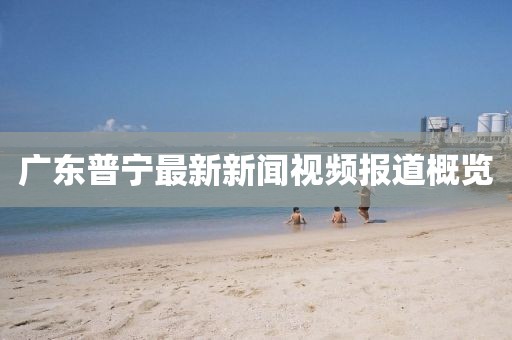 广东普宁最新新闻视频报道概览