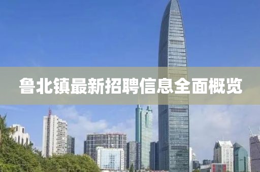 鲁北镇最新招聘信息全面概览