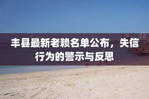 丰县最新老赖名单公布，失信行为的警示与反思