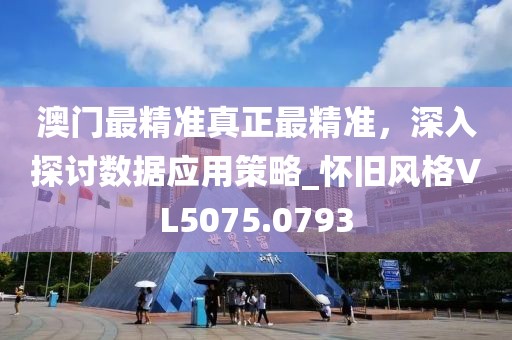 澳门最精准真正最精准，深入探讨数据应用策略_怀旧风格VL5075.0793