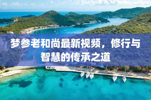 梦参老和尚最新视频，修行与智慧的传承之道