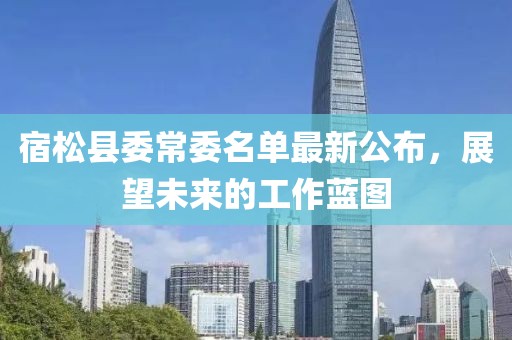 宿松县委常委名单最新公布，展望未来的工作蓝图
