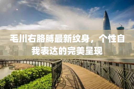 毛川右胳膊最新纹身，个性自我表达的完美呈现