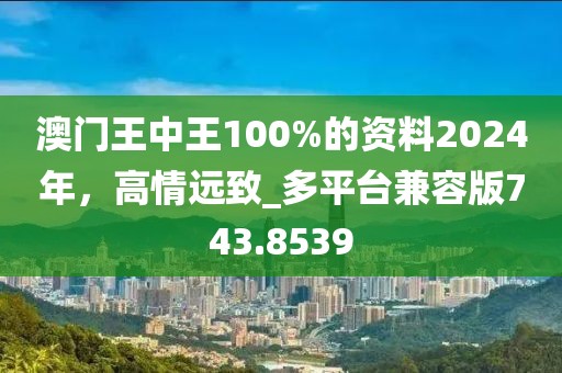 澳门王中王100%的资料2024年，高情远致_多平台兼容版743.8539