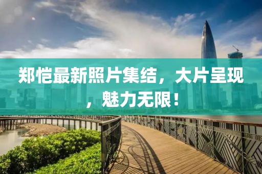 郑恺最新照片集结，大片呈现，魅力无限！