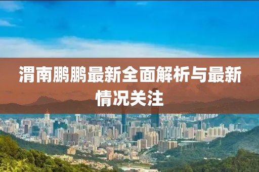 渭南鹏鹏最新全面解析与最新情况关注