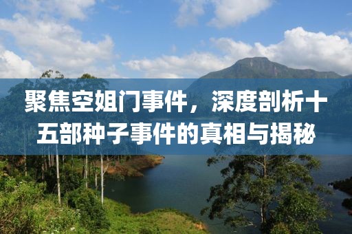聚焦空姐门事件，深度剖析十五部种子事件的真相与揭秘