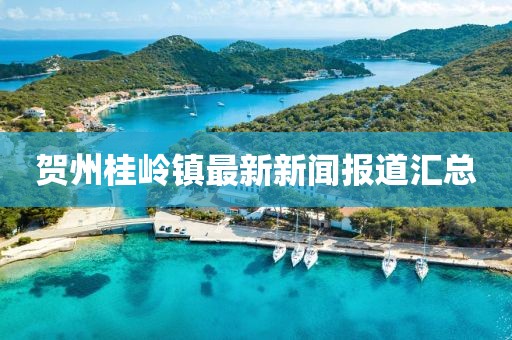 贺州桂岭镇最新新闻报道汇总
