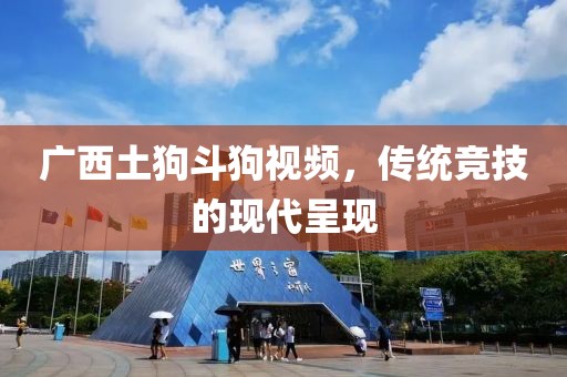 广西土狗斗狗视频，传统竞技的现代呈现