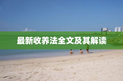 最新收养法全文及其解读