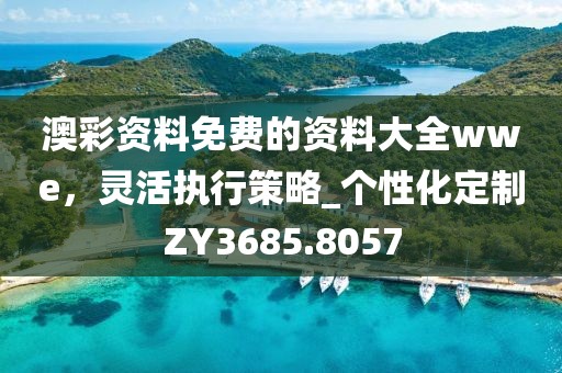 澳彩资料免费的资料大全wwe，灵活执行策略_个性化定制ZY3685.8057