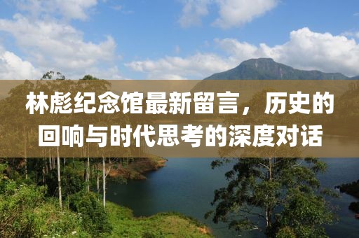 冰月灵狐 第5页