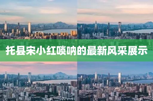 星空下流浪 第5页