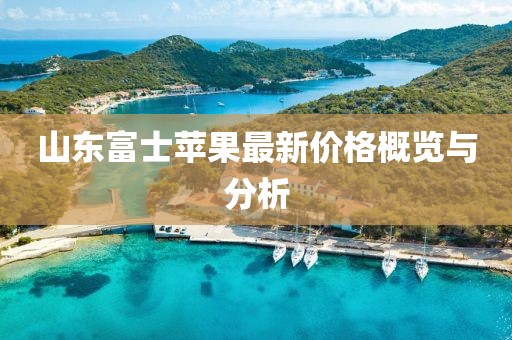山东富士苹果最新价格概览与分析