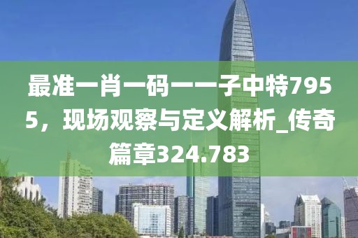 最准一肖一码一一子中特7955，现场观察与定义解析_传奇篇章324.783