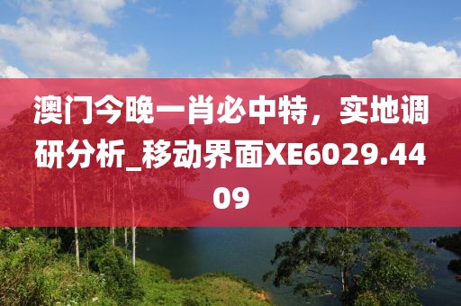 澳门今晚一肖必中特，实地调研分析_移动界面XE6029.4409