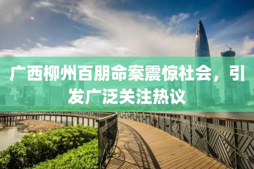 广西柳州百朋命案震惊社会，引发广泛关注热议