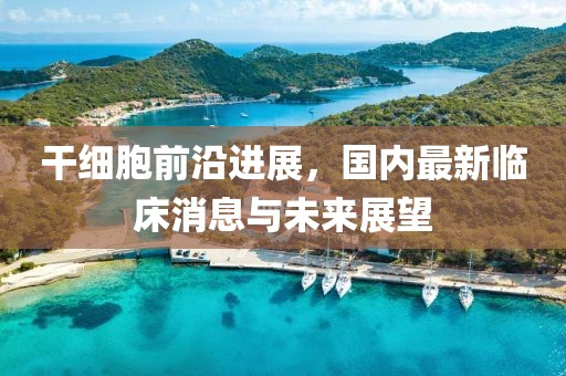 干细胞前沿进展，国内最新临床消息与未来展望