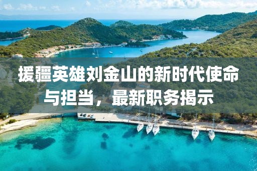 援疆英雄刘金山的新时代使命与担当，最新职务揭示