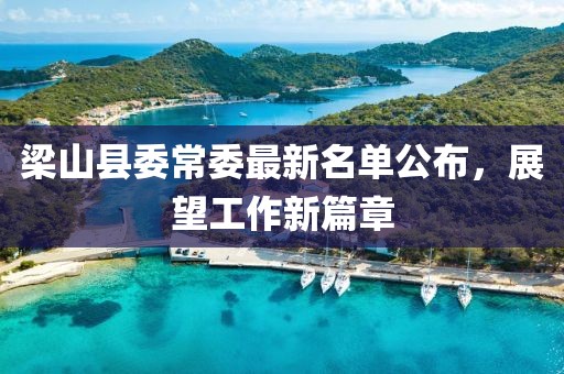 梁山县委常委最新名单公布，展望工作新篇章