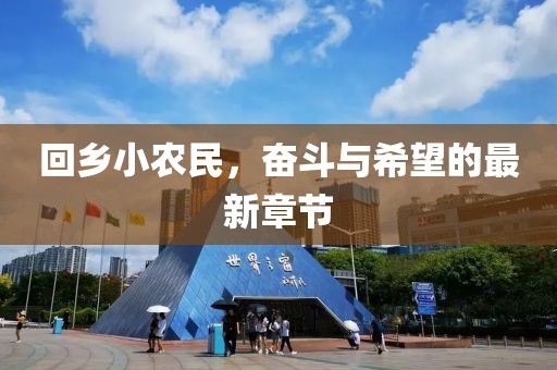 回乡小农民，奋斗与希望的最新章节