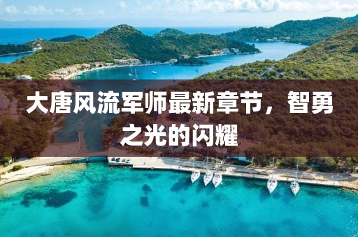 大唐风流军师最新章节，智勇之光的闪耀