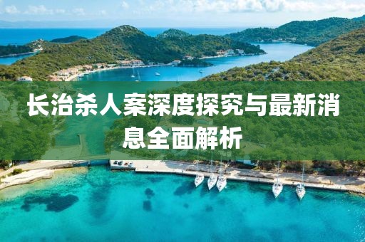 长治杀人案深度探究与最新消息全面解析