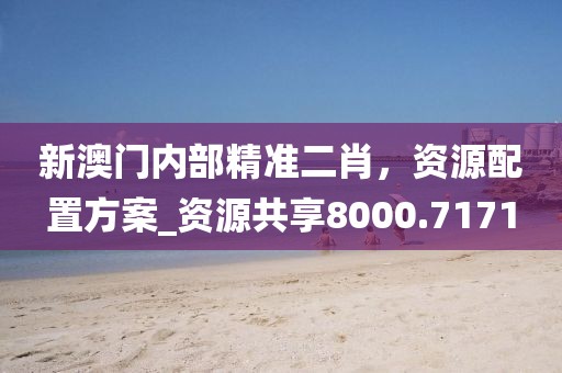 新澳门内部精准二肖，资源配置方案_资源共享8000.7171