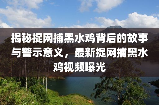 揭秘捉网捕黑水鸡背后的故事与警示意义，最新捉网捕黑水鸡视频曝光