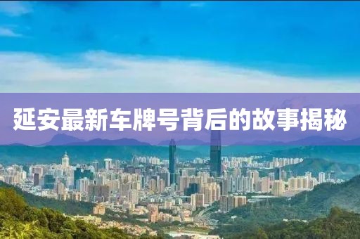 延安最新车牌号背后的故事揭秘