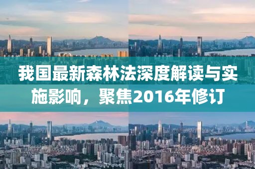 我国最新森林法深度解读与实施影响，聚焦2016年修订
