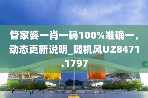管家婆一肖一码100%准确一，动态更新说明_随机风UZ8471.1797