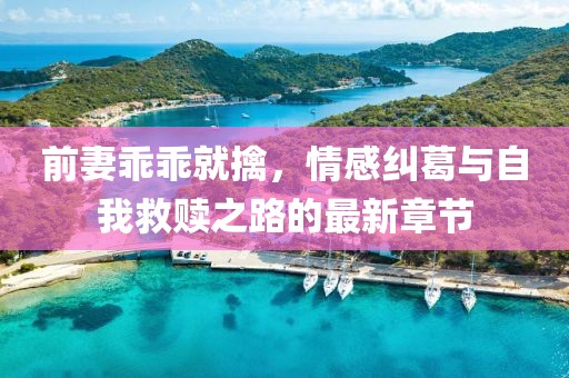 前妻乖乖就擒，情感纠葛与自我救赎之路的最新章节