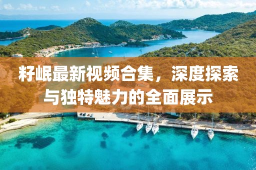 籽岷最新视频合集，深度探索与独特魅力的全面展示