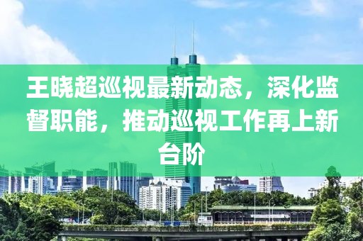 王晓超巡视最新动态，深化监督职能，推动巡视工作再上新台阶