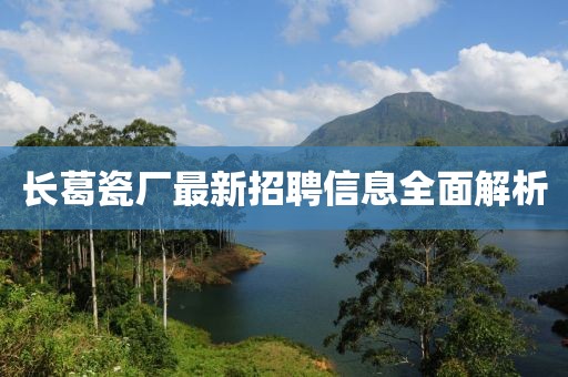 长葛瓷厂最新招聘信息全面解析