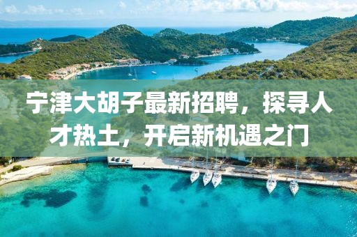 宁津大胡子最新招聘，探寻人才热土，开启新机遇之门