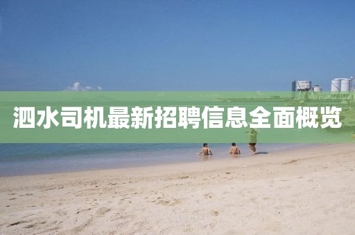 泗水司机最新招聘信息全面概览