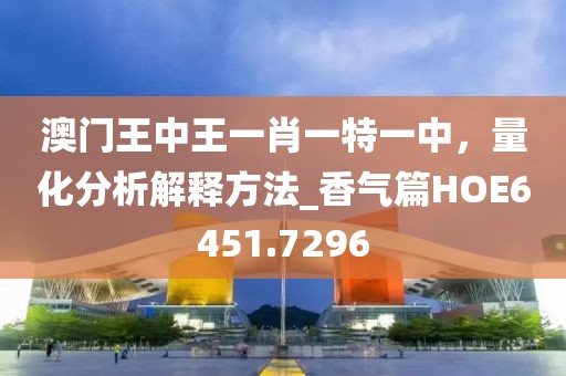澳门王中王一肖一特一中，量化分析解释方法_香气篇HOE6451.7296